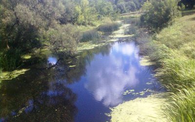 ФСЄ в рамках виконання Програми USAID «Лідерство в економічному врядуванні» оголошує конкурс на виконання робіт з розробки та впровадження геоінформаційної веб-системи з основними даними про водні об’єкти Вінницької області та даними моніторингу якості вод і водокористування