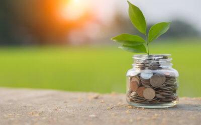 East Europe Foundation announces a competition for audit services