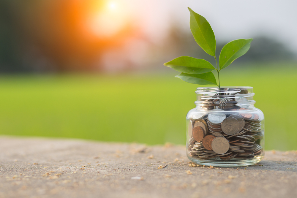 East Europe Foundation announces a competition for audit services